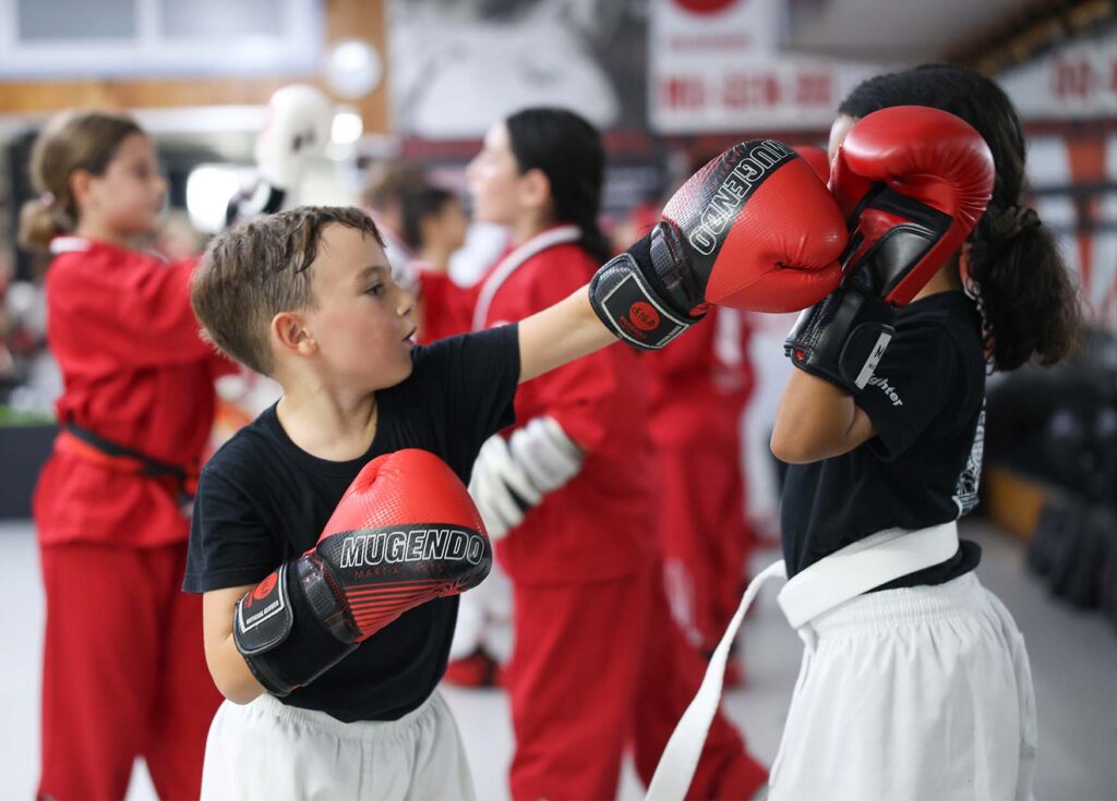 artes marciales terrassa